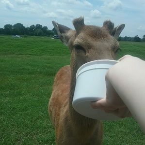 Meet your Posher, Lexie